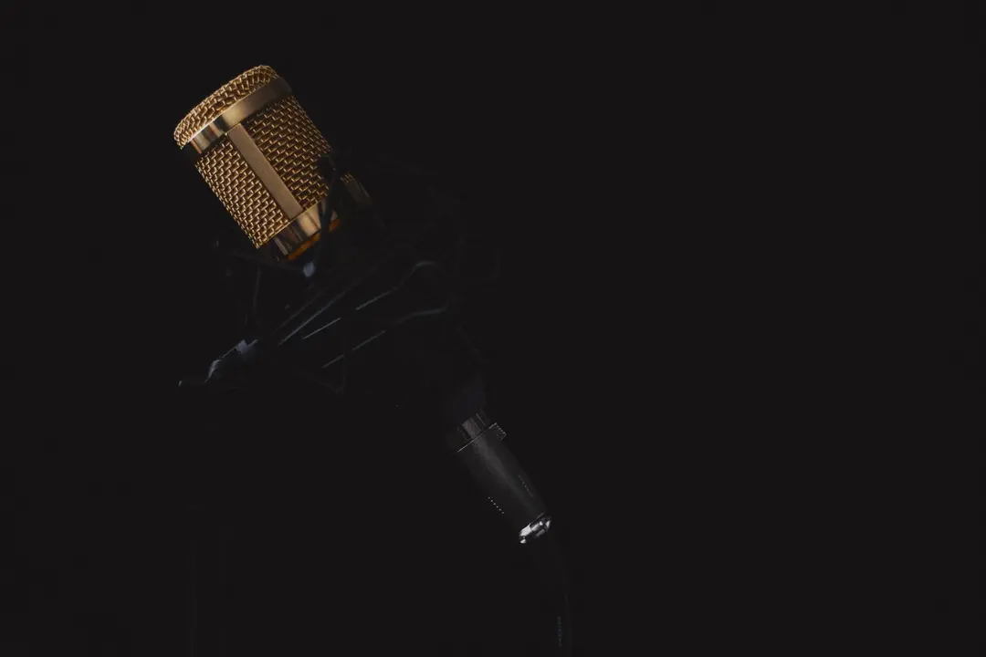 Choosing a Well-Known Voiceover Artist: Smart Move or Distraction?